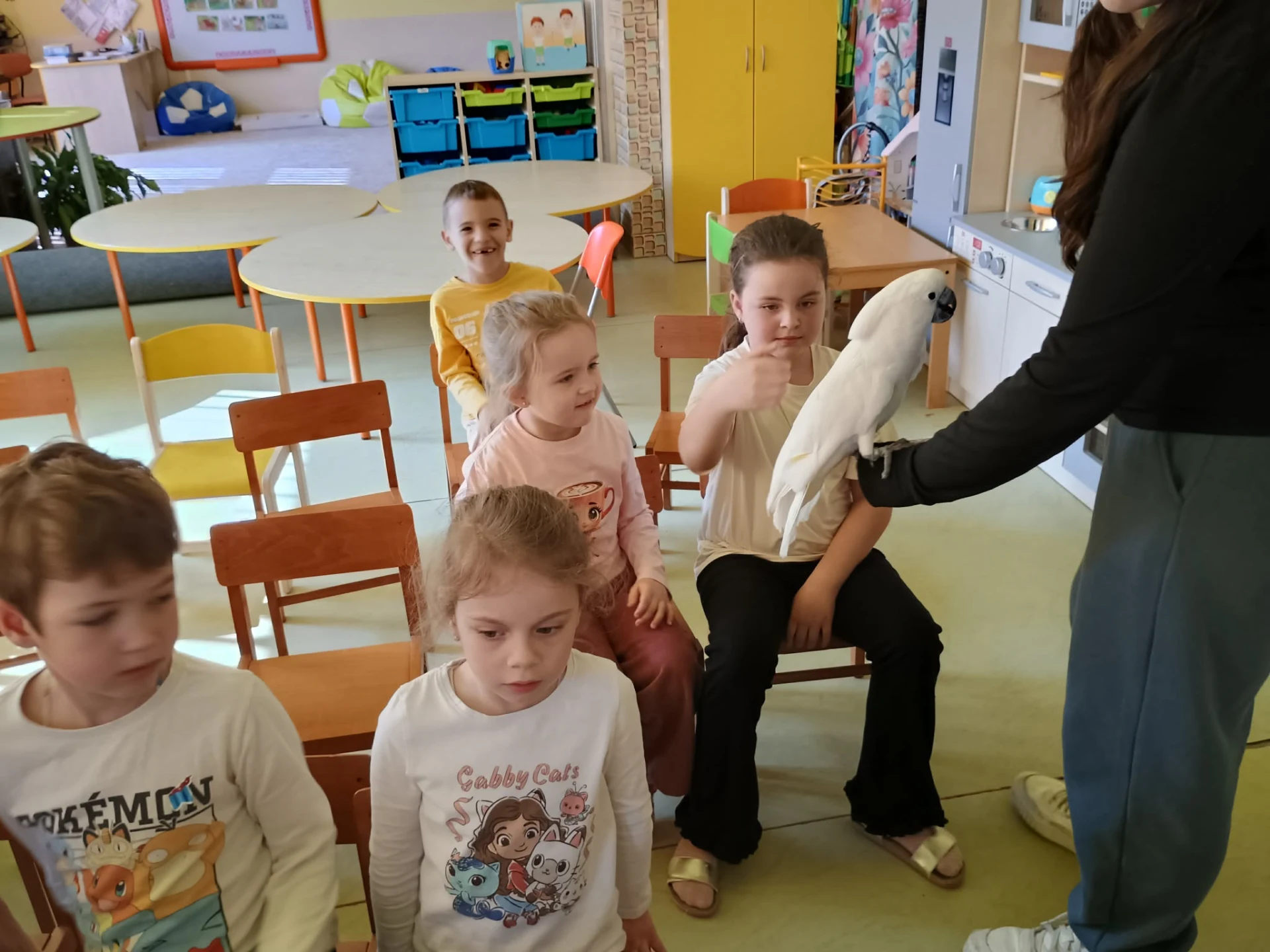 Papagáje v škôlke / Papagájok az óviban