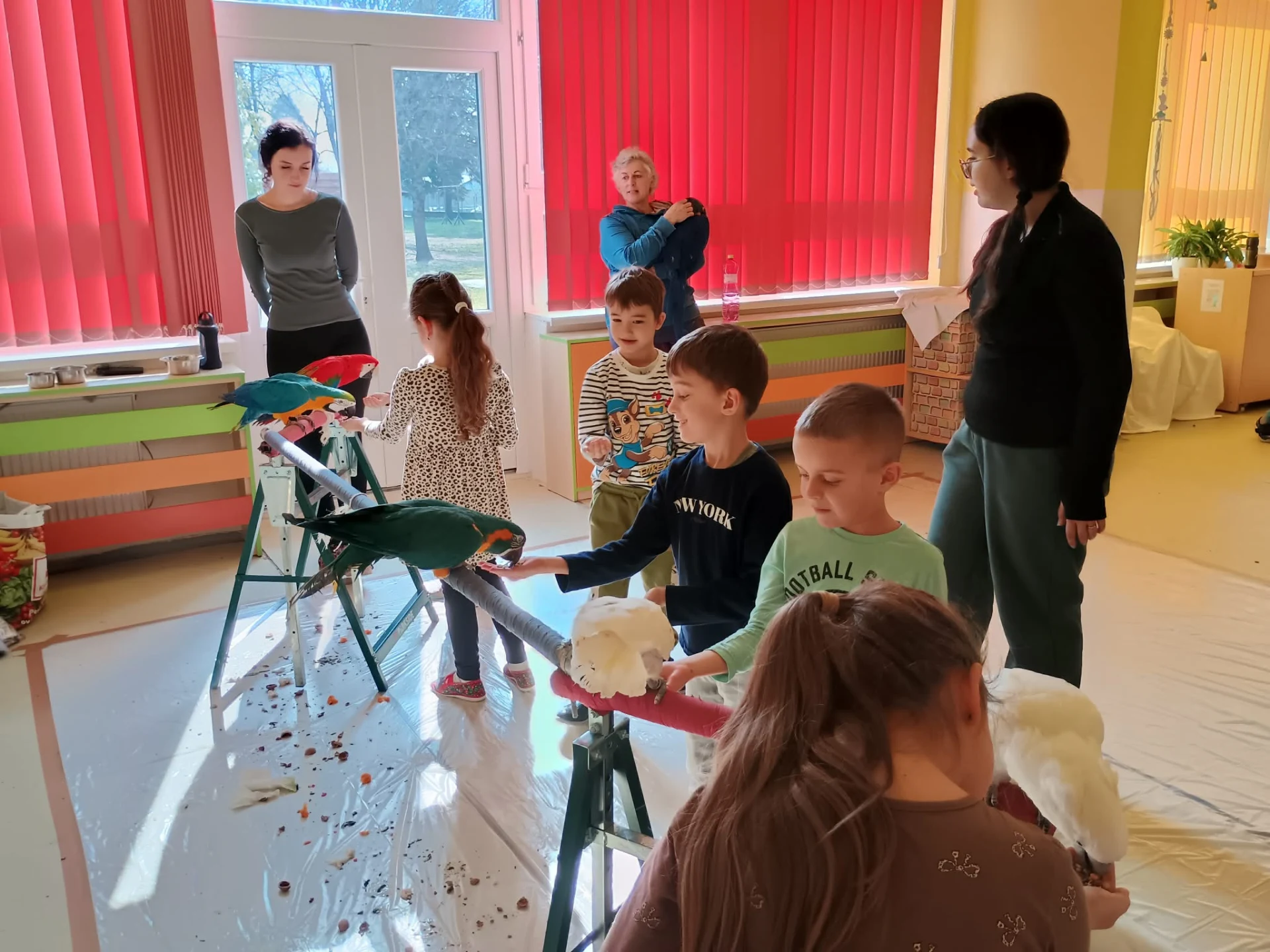 Papagáje v škôlke / Papagájok az óviban