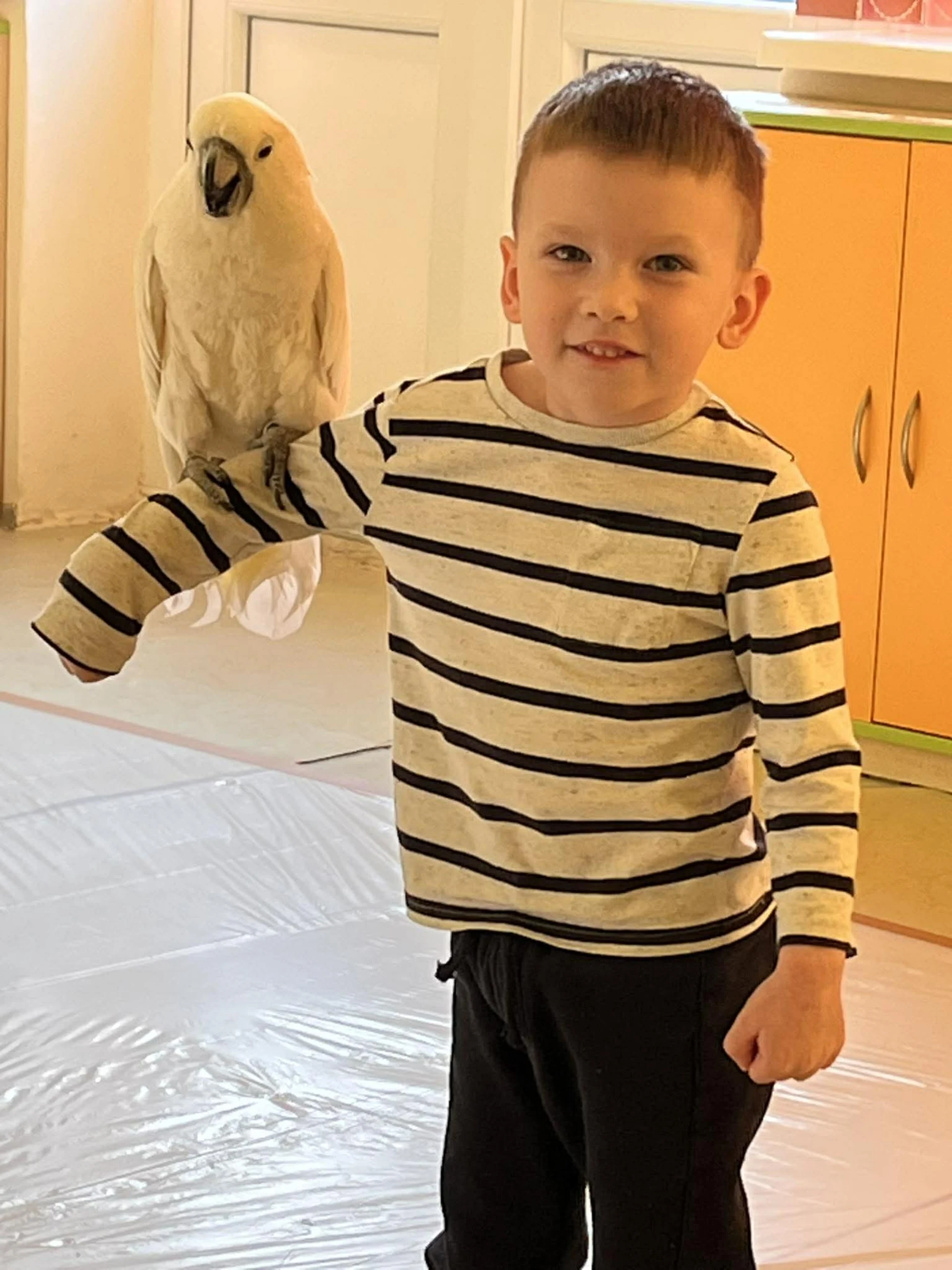 Papagáje v škôlke / Papagájok az óviban